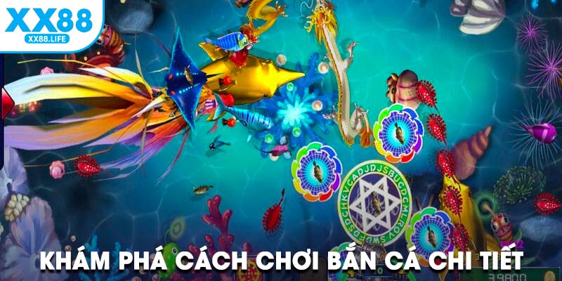 Khám phá cách chơi bắn cá XX88 chi tiết